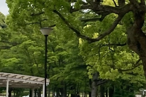 石川四高記念公園